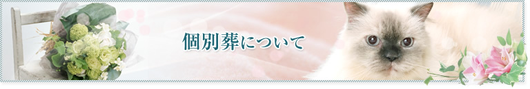 個別葬について