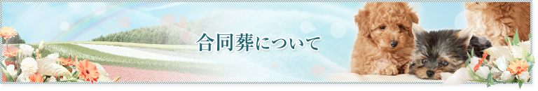 合同葬について