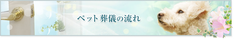 ペット葬儀の流れ