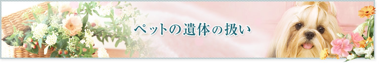 ペットの遺体の扱い